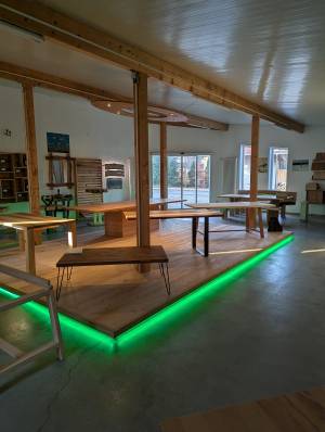 PXL_20251204_075201740.MP