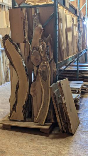 PXL_20250617_062406089.PORTRAIT.ORIGINAL