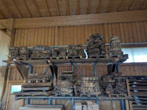 PXL_20250923_075345405.MP