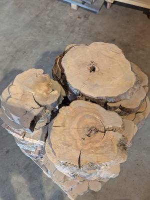 PXL_20250923_080606654.PORTRAIT