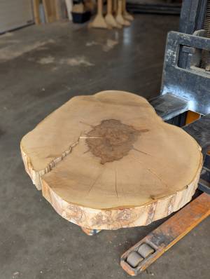 PXL_20250923_081312243.PORTRAIT