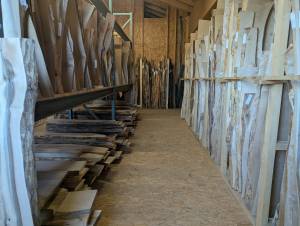 PXL_20251113_135515703