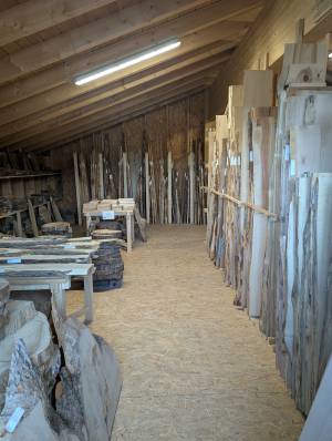 PXL_20251113_141018918