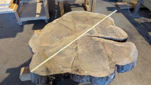 PXL_20251215_075821109.MP