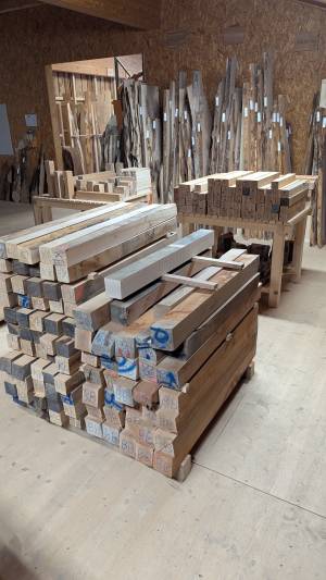 PXL_20251216_120459525.MP