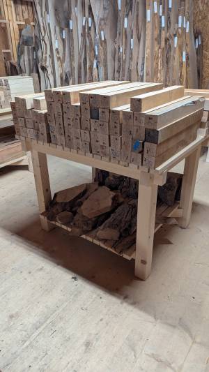 PXL_20251216_120509942