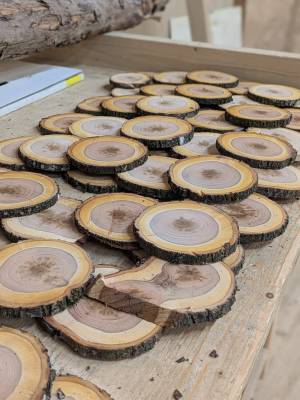 PXL_20260128_065510255.PORTRAIT